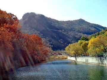 新澳门二四六天天彩，莱芜市